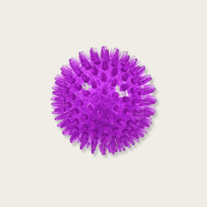 Squeaky Tooth Cleaning Indestructible Dog Toy Ball