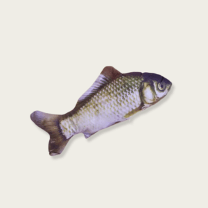 Grass Carp