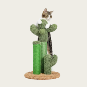 Interactive Cactus Cat Scratching Post