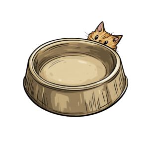 Cat Bowls & Automatic Feeders