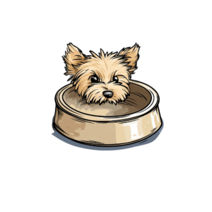 Small Dog Bowls & Automatic Feeders