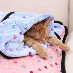 Fluffy Coral Fleece Pet Blanket for Cats & Dogs