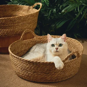 Woven Cat Bed for Cool Summer Comfort