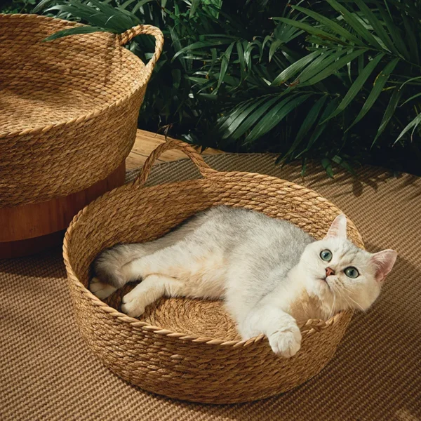Woven Cat Bed for Cool Summer Comfort - Image 2