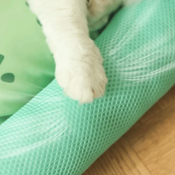 Summer Cooling Square Cat Bed for Pets & Dogs - Image 2
