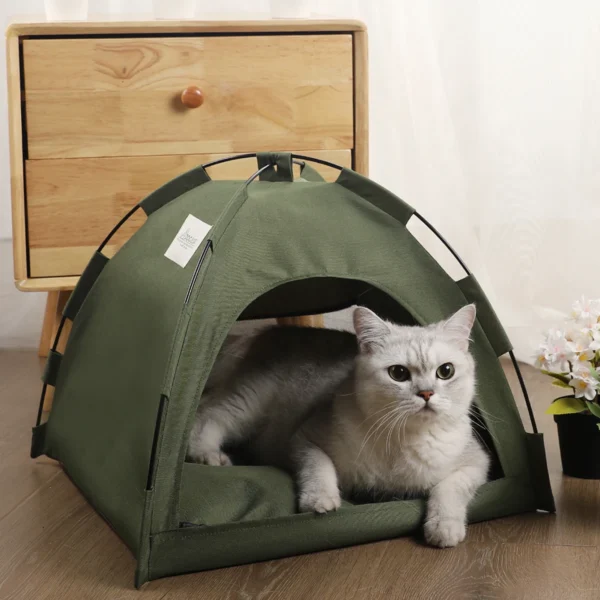 Cat Tent Bed for Indoor Comfort