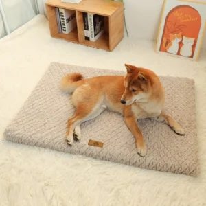 Detachable Neck Guard Dog Sofa Bed
