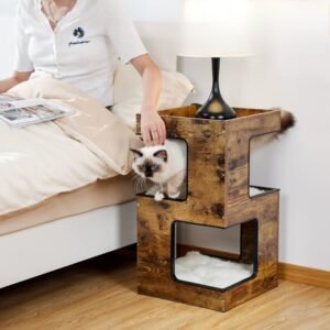 Cat Condo House with Scratch Pad & Dual Beds