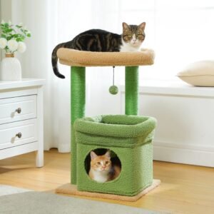 Small Cat Condo with Perch & Scratching Posts