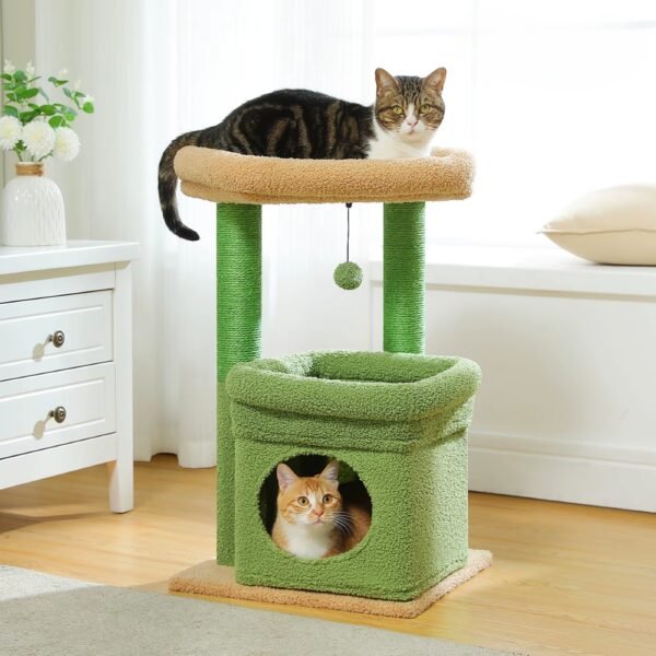 Small Cat Condo with Perch & Scratching Posts