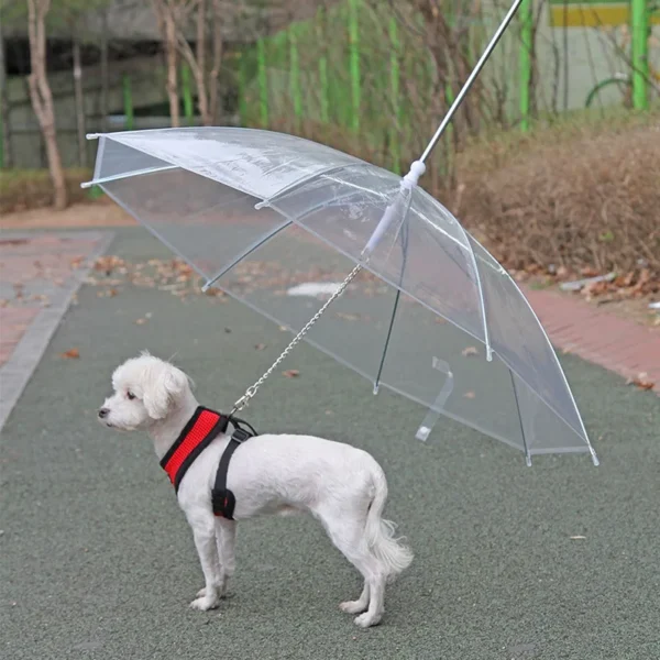 Dog Umbrella Leash for Rain & Snow Protection
