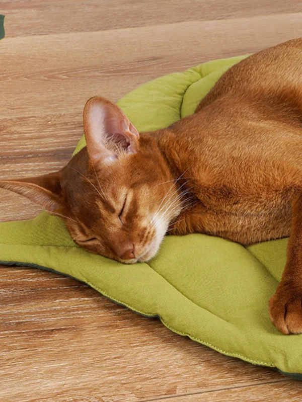 Leaf Cat Bed Double-Sided Mat - Image 4