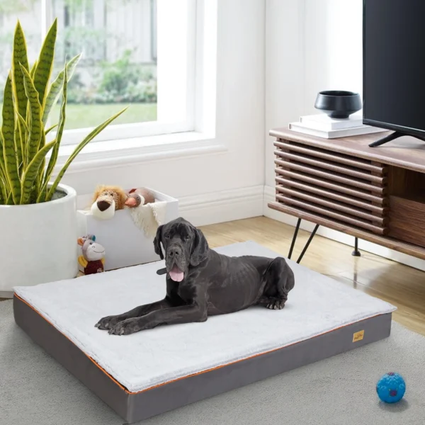 Orthopedic Dog Bed with Foam Support