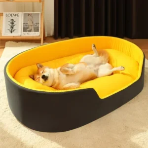 Soft Dog Bed with Memory Foam Support