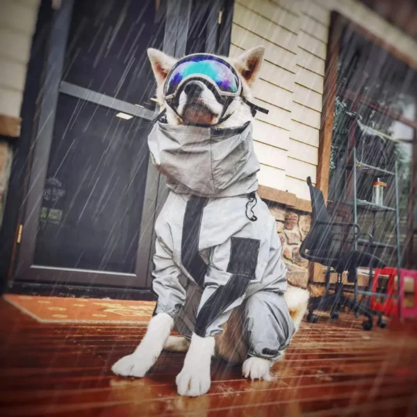 Reflective Dog Raincoat with Hood & Adjustable Fit