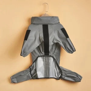 Silver Gray