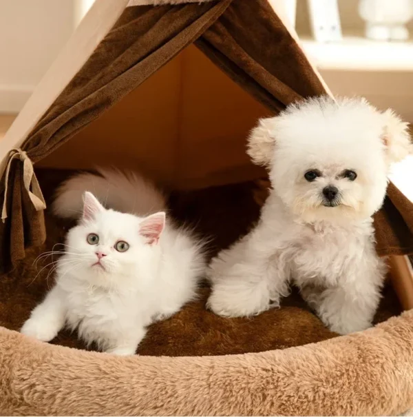 Dog Tent Bed with Removable Curtain - Image 6
