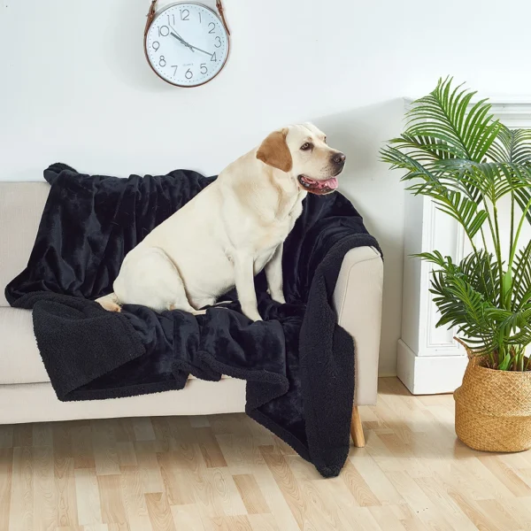Waterproof Pet Blanket with Sherpa Fleece - Image 11