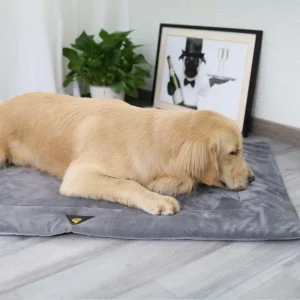 Self Heating Pet Pad for Winter Warmth