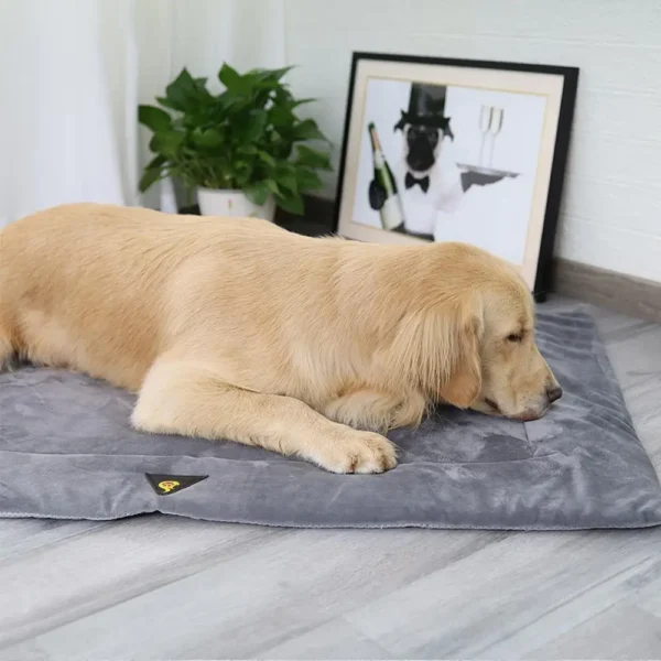 Self Heating Pet Pad for Winter Warmth