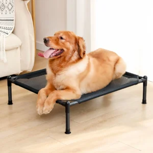 Elevated Pet Bed with Multi-Tier Platform