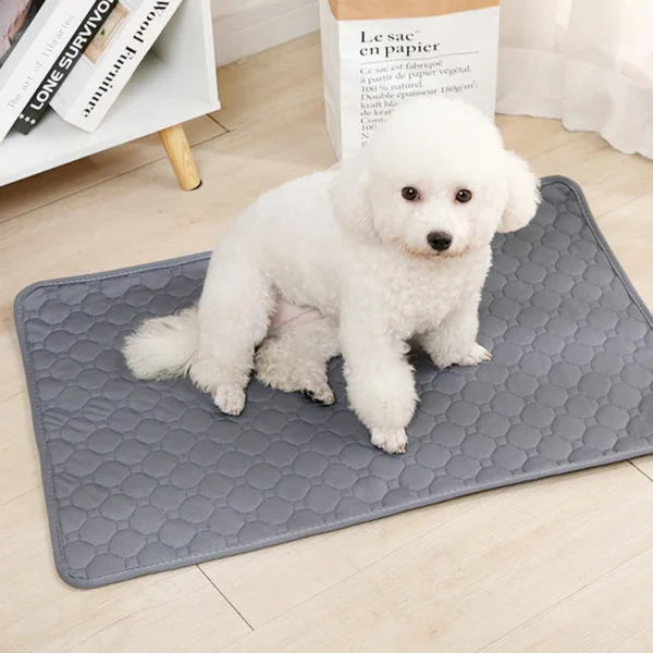 Washable Pet Pee Pad with Anti-Slip Backing - Image 3