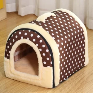 Brown with Polka Dots