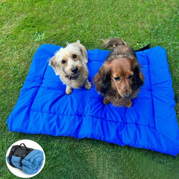 Outdoor Dog Bed for Travel & Camping