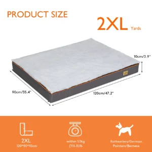 2XL