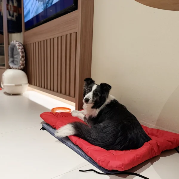 Outdoor Dog Bed for Travel & Camping - Image 9