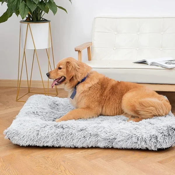 Orthopedic Dog Bed with Plush Removable Cover - Image 2