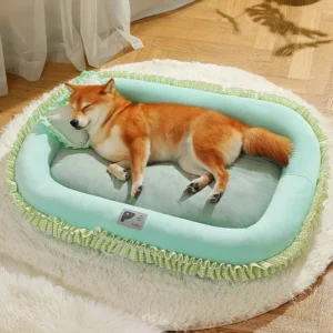 Warm Dog Bed with Soft Cushion Base