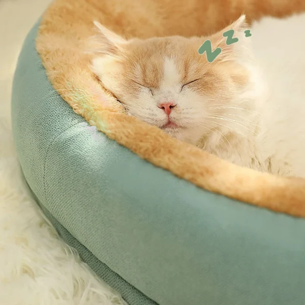 Non-Slip Pet Bed with Removable Cover - Image 2