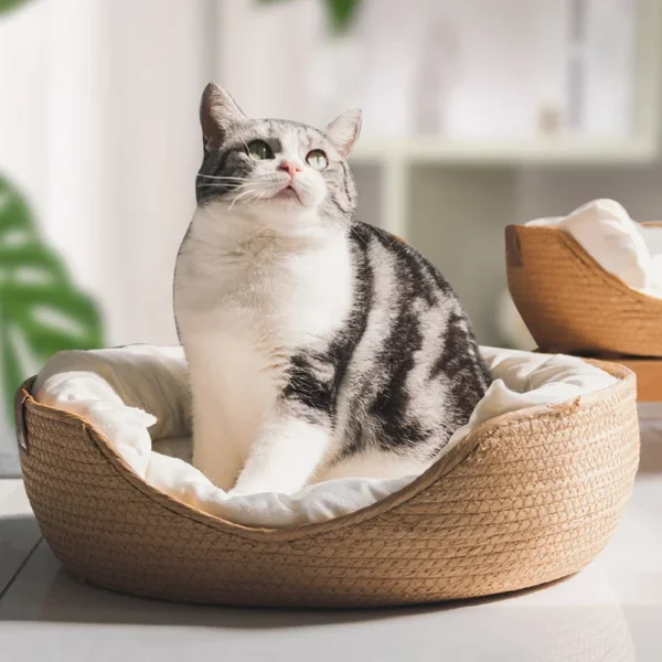 Woven Cat Bed with Soft Cushion - Image 2
