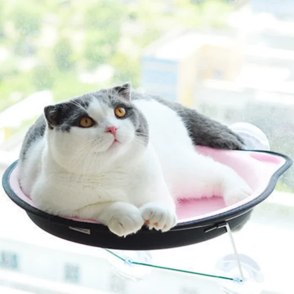 Cat Window Hammock with Suction Cup Mount - Image 11