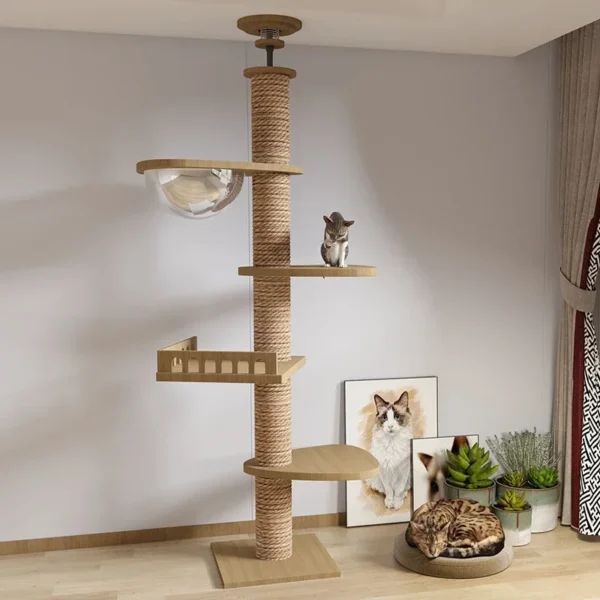 Cat Climbing Frame with Hammock & Ceiling Pole - Image 2