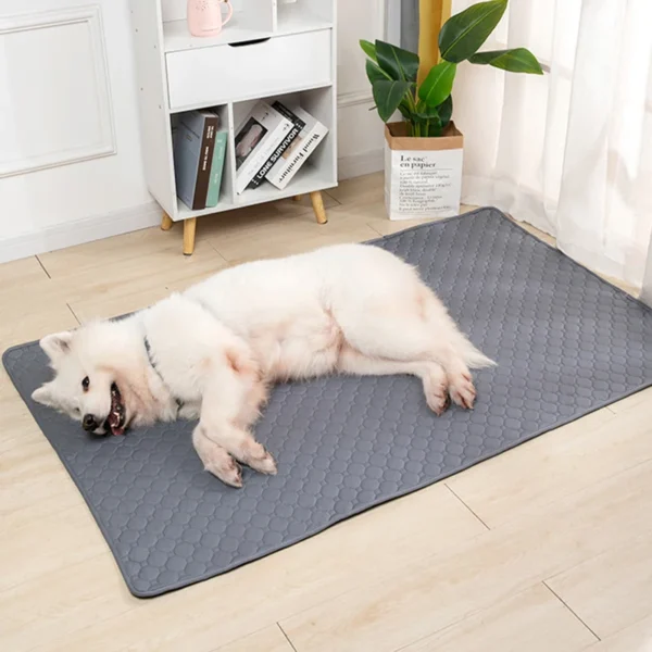 Washable Pet Pee Pad with Anti-Slip Backing - Image 13