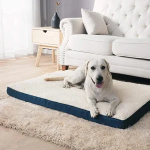 Memory Foam Dog Bed – Washable Orthopedic Mat