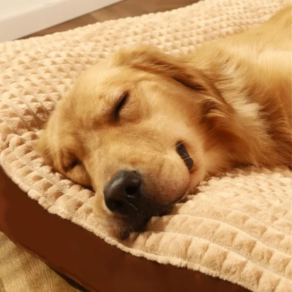 Fleece Dog Bed for All Sizes – Soft & Detachable Cushion - Image 3