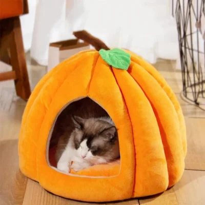 Pumpkin Enclosed Cat Bed