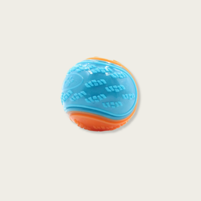 Bite-Resistant Interactive Dog Toy