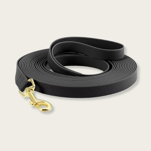 Training Dog Leash