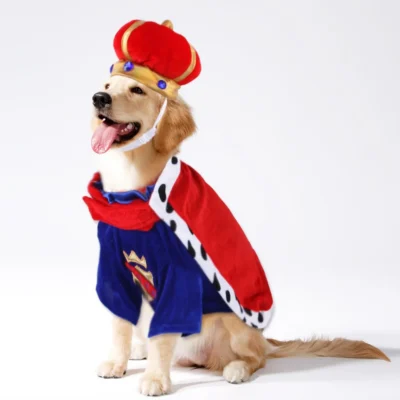 Majestic Paws Dog Clothes