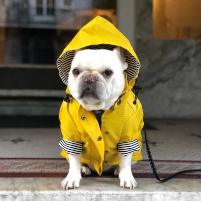 Waterproof Raincoat Dog Clothes