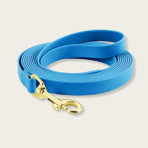 Training Dog Leash