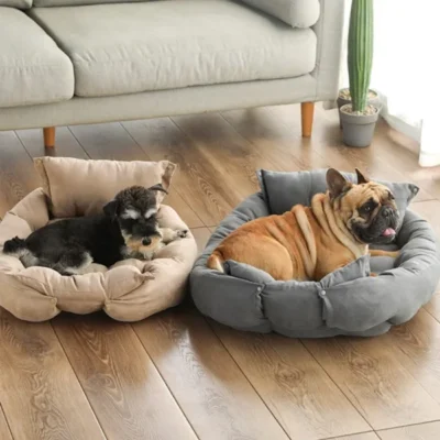 Multifunctional Cat Bed