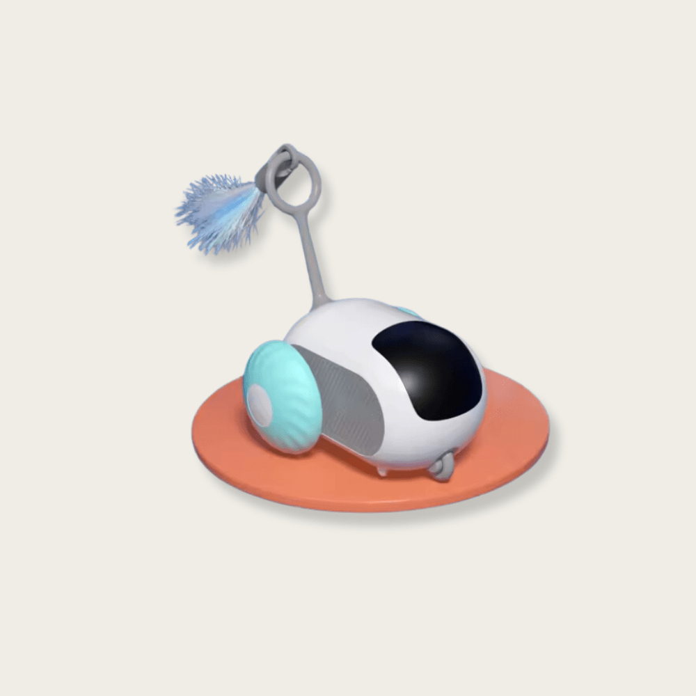 Car Interactive Cat Toy