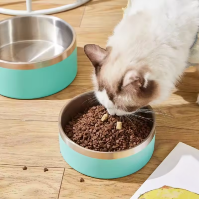 Stainless Steel Cat Bowl
