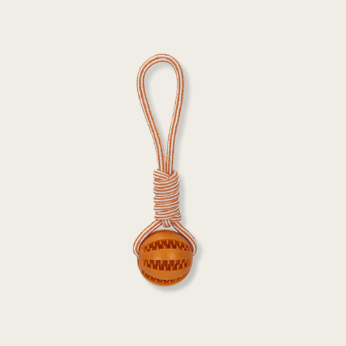Treat Dispensing Indestructible Dog Toy