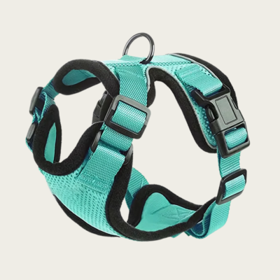 Vibrant Dog Harness